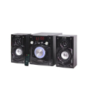 Tiger R-2030 Wooden Subwoofer System - Black
